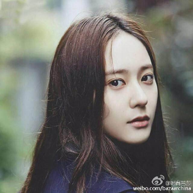 梦莲活动